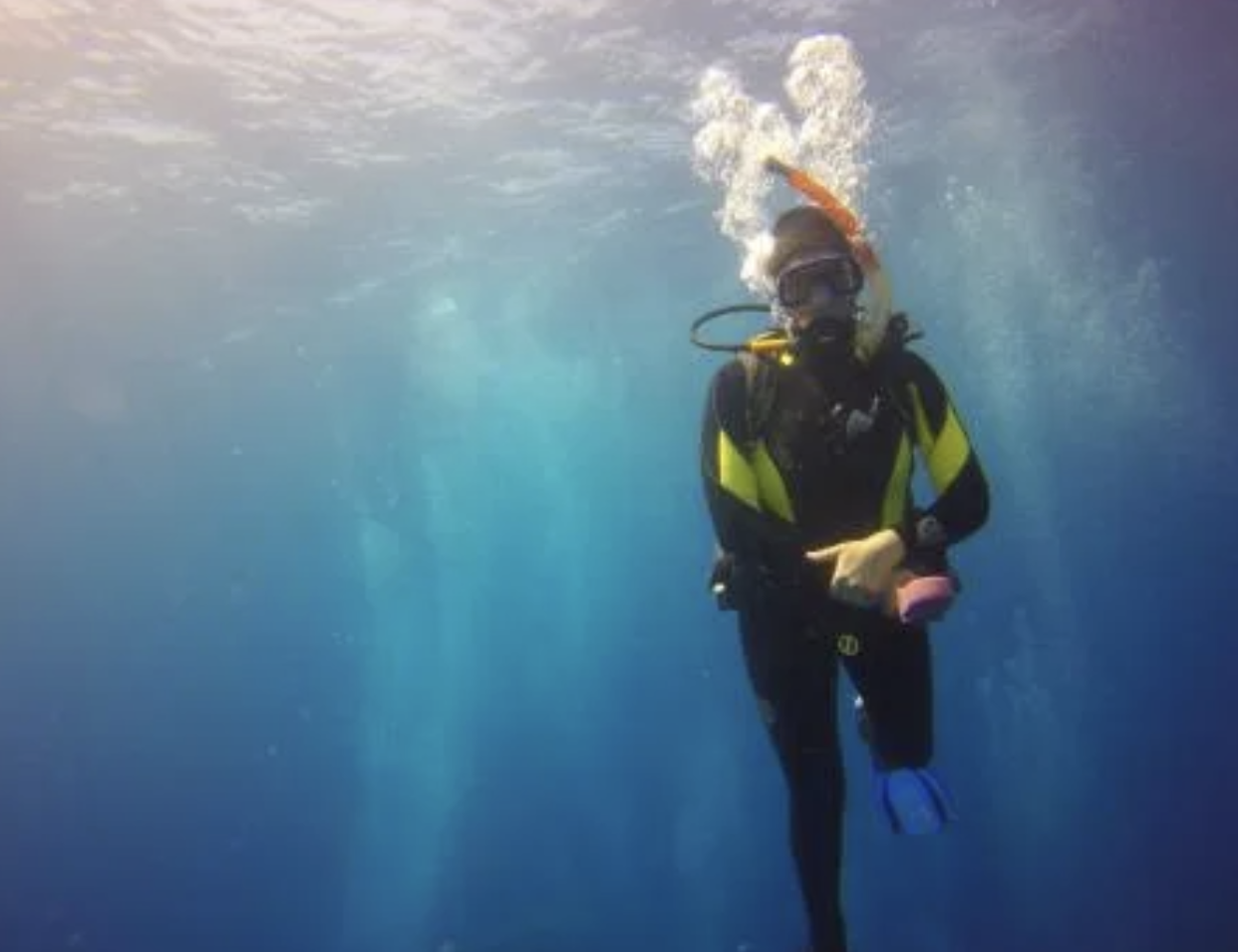 Clownfish and Corals with Dr. Tammy Goulet